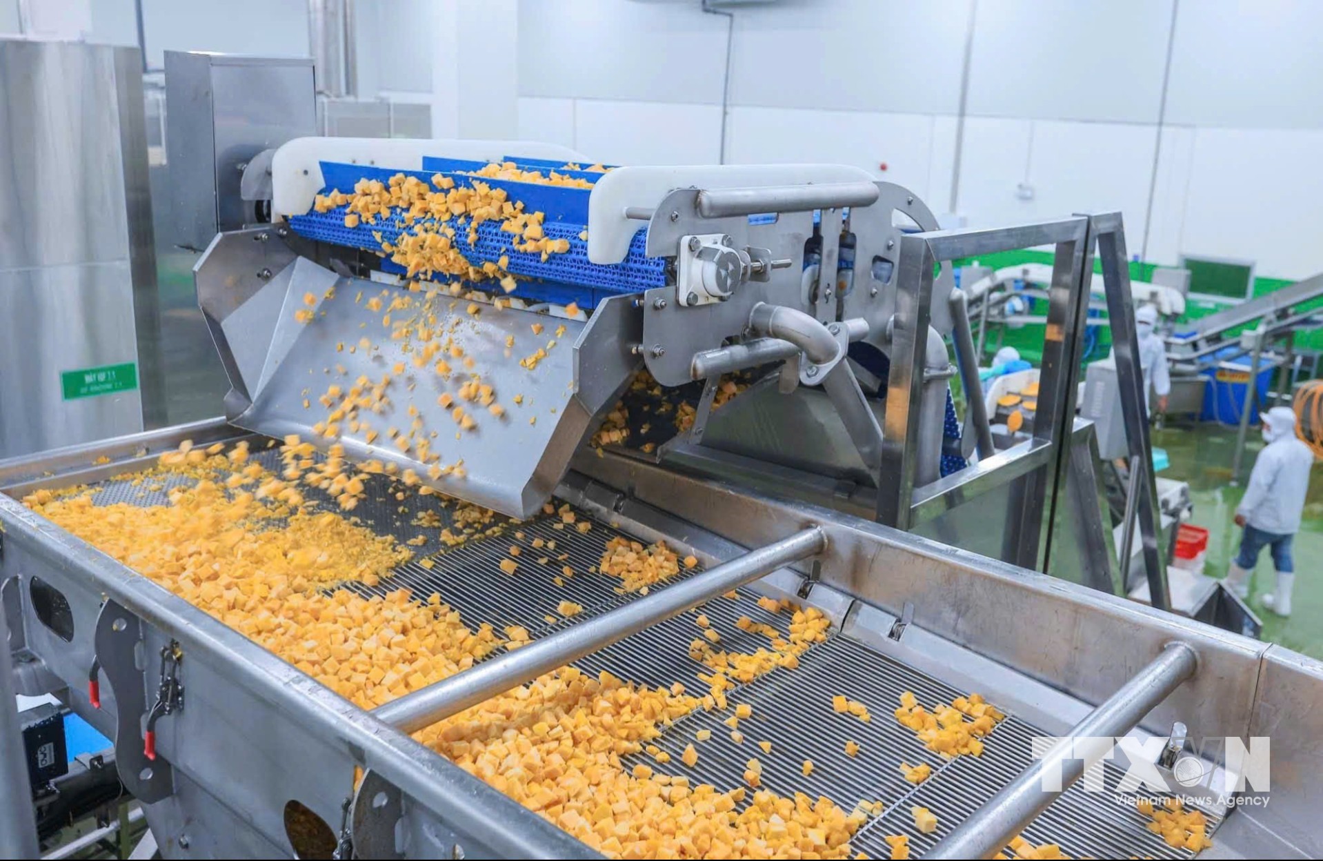 WestFood Hậu Giang với hệ thống dây chuyền máy móc hiện đại, giúp sản phẩm nông sản được kỳ vọng sẽ trở thành trung tâm chế biến nông sản trọng điểm của Đồng bằng sông Cửu Long, góp phần nâng cao giá trị nông sản Việt Nam và khẳng định vị thế thương hiệu Việt trên bản đồ thực phẩm thế giới. (Ảnh: Hoàng Hiếu/TTXVN)